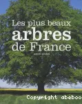 Les plus beaux arbres de France