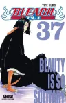 Bleach 37